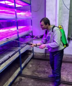 Услуги по прорашивонию