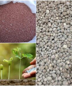 Удобрения для всех видов растительности