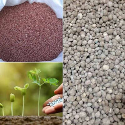 Ingrasaminte pentru toate tipurile de vegetatie