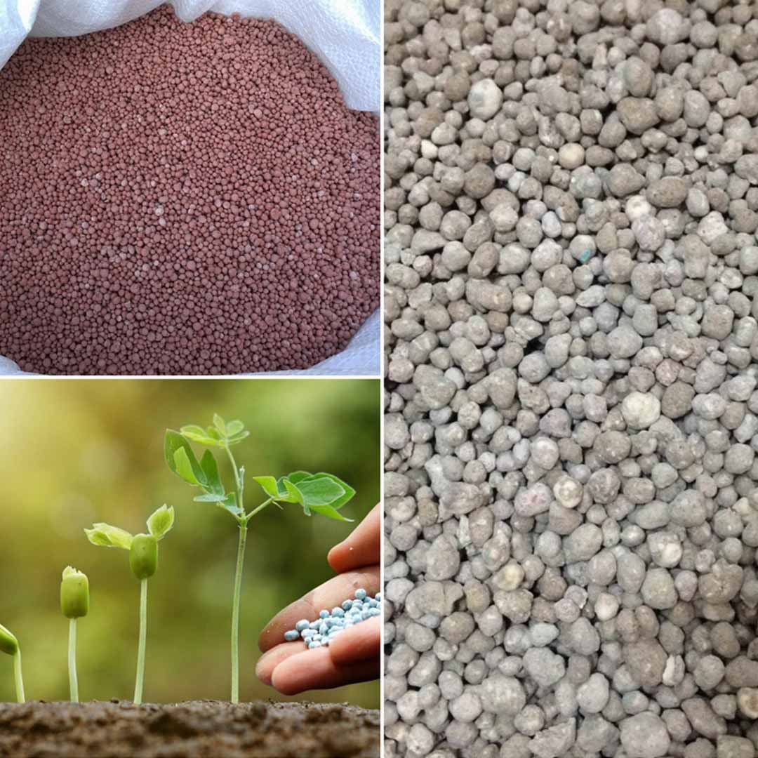 Ingrasaminte pentru toate tipurile de vegetatie